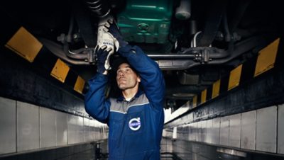 Alles inclusief: het Gold Contract