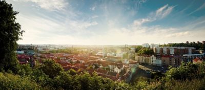 Picture of a city with trees in the foreground and blue sky