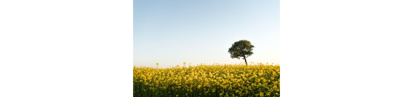 Sustainability | Volvo Group