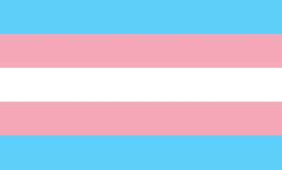 Transgender Flag | Volvo Group