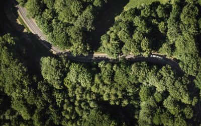 Miško keliu važiuojančio sunkvežimio vaizdas iš viršaus