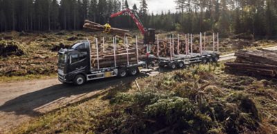 volvo fh16 bomen en hou transport timber.jpg