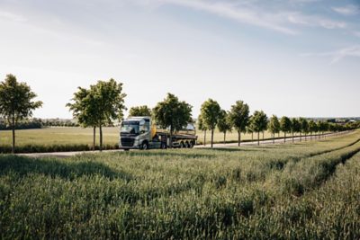  „Volvo FM“ važiuoja saulėtu oru kelyje tarp medžių 