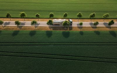 De Volvo FM die rijdt door een bomenlaantje