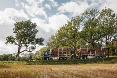 W pełni załadowana ciężarówka Volvo z dwiema przyczepami do transportu drewna stoi na zielonej polanie w lesie, załadowana świeżo ściętymi kłodami, gotowymi do transportu.