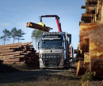 Volvo kamion opremljen dizalicom utovaruje balvane u šumskom području, okružen složenim hrpama trupaca u radnom ambijentu.