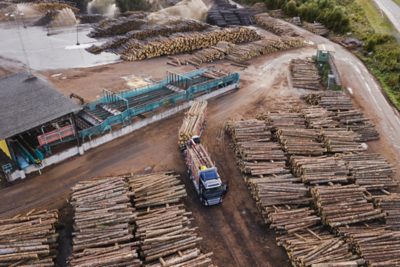 Forest and timber trucks