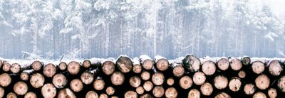 Soluciones de Volvo Trucks para la silvicultura y el transporte de madera